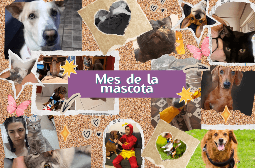 Mes de la Mascota en HTL: lo que nos hace bien